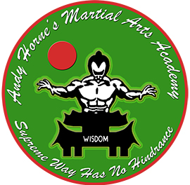 Andy Horne's Martial Arts Academy